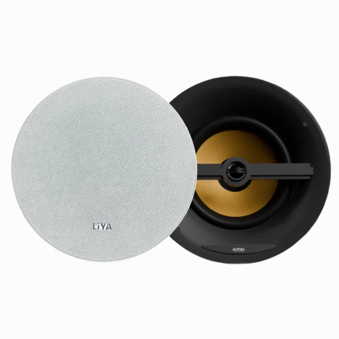 LiYA-cs65-In-ceiling-speaker-scaled